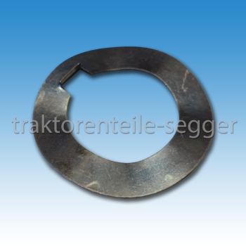 Sicherungsblech für Kurbelwelle Sachs D 600